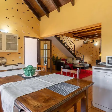 Sunset Village By Madeira *