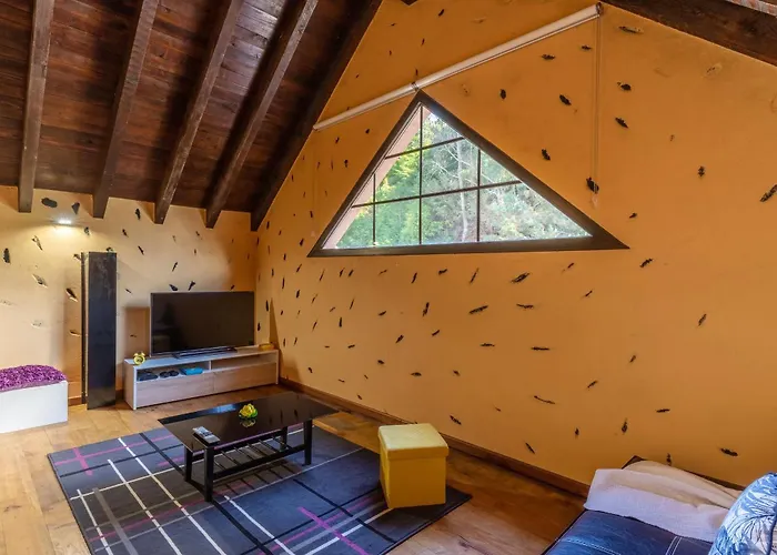 Sunset Village By Madeira São Jorge